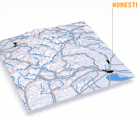 3d view of Homeşti