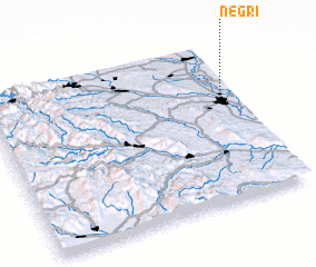 3d view of Negri