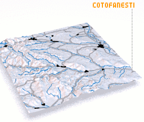 3d view of Coţofăneşti