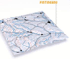 3d view of Fîntîneanu