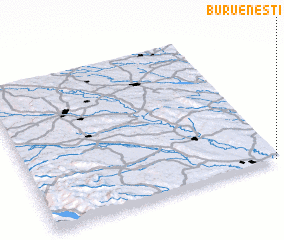 3d view of Burueneşti