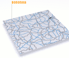 3d view of Boronika