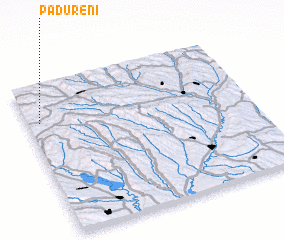 3d view of Pădureni