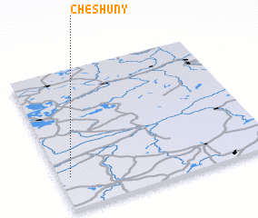 3d view of Cheshuny