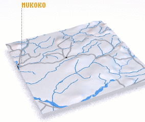 3d view of Mukoko