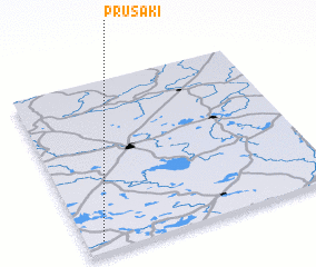 3d view of Prusaki