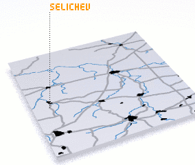 3d view of Selichev