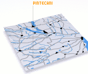 3d view of Pîntecani