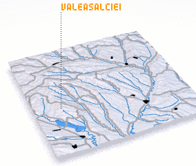 3d view of Valea Salciei