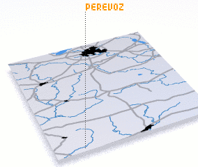 3d view of Perevoz