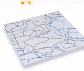 3d view of Nintili