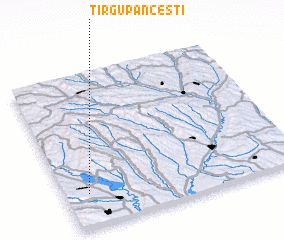 3d view of Tîrgu Pănceşti