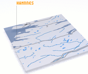 3d view of Hamnnes