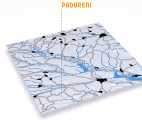 3d view of Pădureni