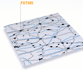 3d view of Futori