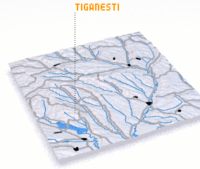 3d view of Ţigăneşti