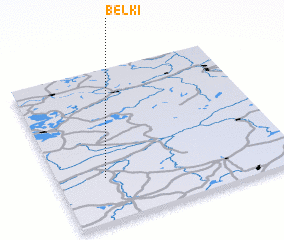 3d view of Belʼki