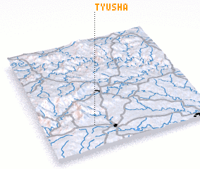 3d view of Tyusha