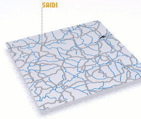 3d view of Saidi