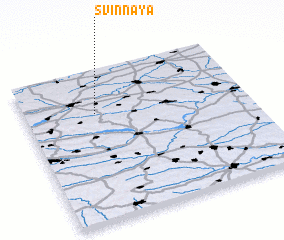 3d view of Svinnaya