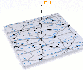 3d view of Litki