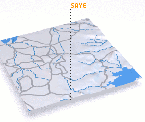 3d view of Saye