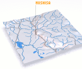 3d view of Mushisa