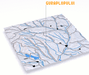 3d view of Gura Plopului