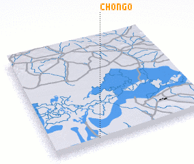 3d view of Chongo