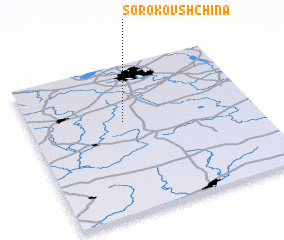 3d view of Sorokovshchina