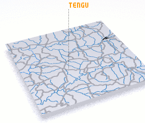 3d view of Tengu