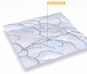 3d view of Pumuzika
