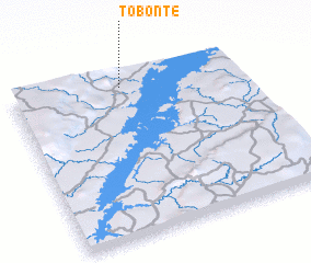 3d view of Tobonte