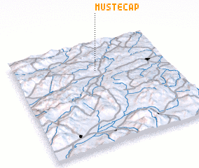 3d view of Müstecap