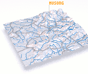 3d view of Musong