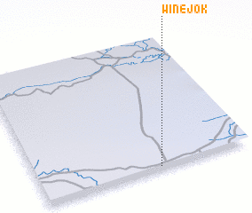 3d view of Winejok