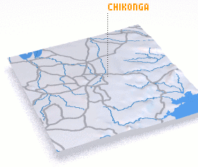 3d view of Chikonga