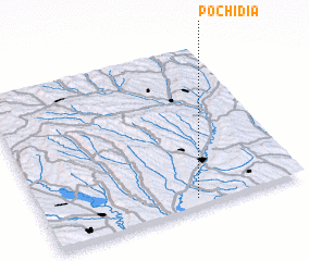 3d view of Pochidia