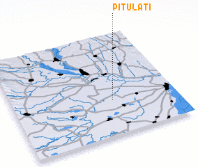 3d view of Pitulaţi