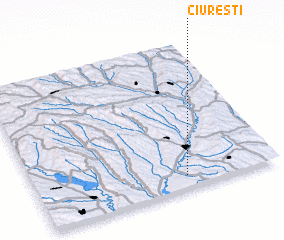 3d view of Ciureşti