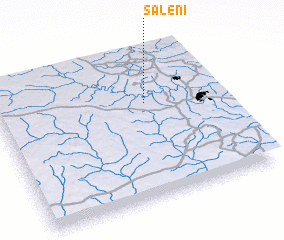 3d view of Saleni