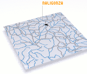 3d view of Naligonza