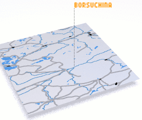 3d view of Borsuchina