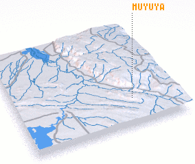 3d view of Muyuya