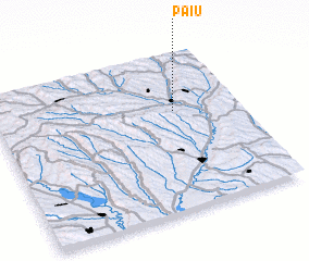 3d view of Paiu