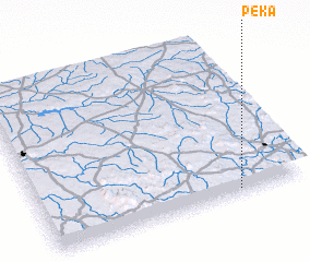 3d view of Peka