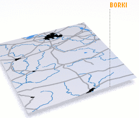 3d view of Borki