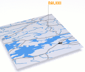 3d view of Nalkki