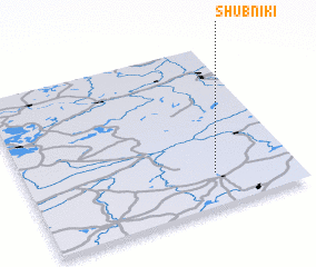 3d view of Shubniki