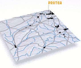 3d view of Protea